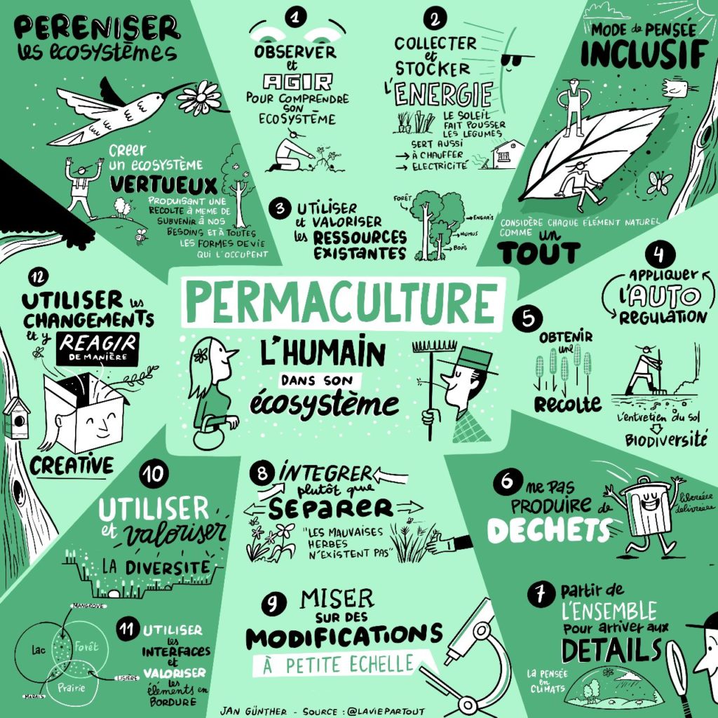 Permaculture humaine et écosystème